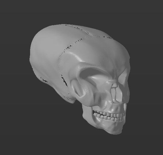Alien skull 3D print model_1