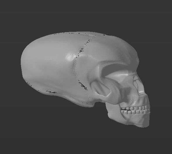 Alien skull 3D print model_3