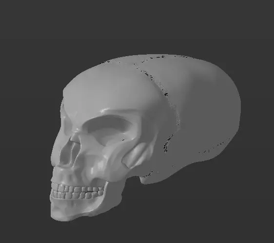 Alien skull 3D print model_0