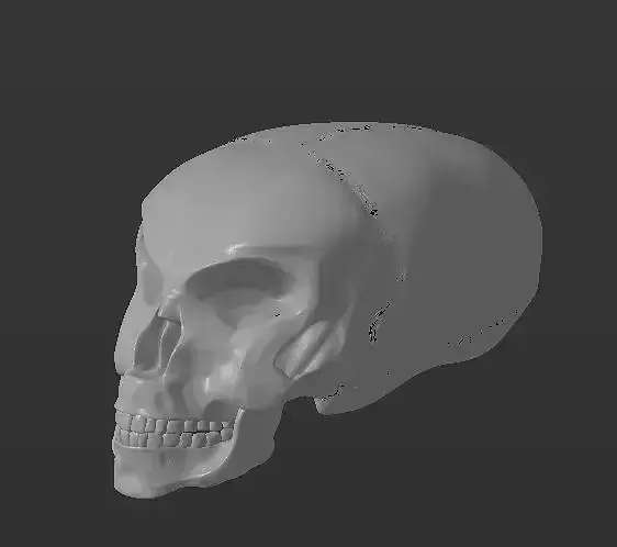 Alien skull