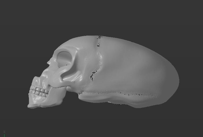 Alien skull 3D print model_2