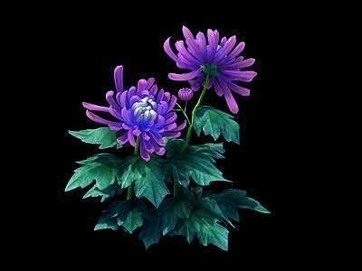 Garden - Xian Yun flowers and grass combination 04 3D model