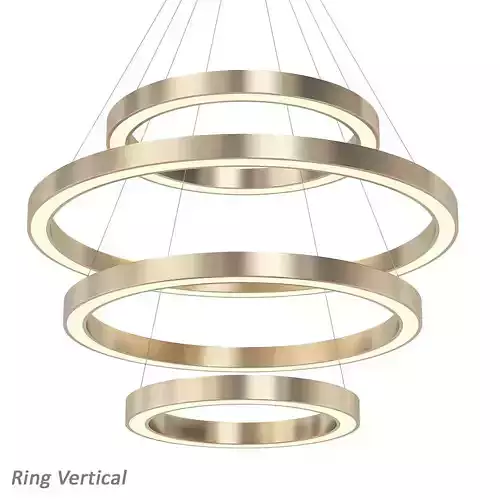 Ring Vertical 3D model
