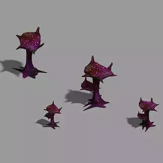 Magic territory - flower