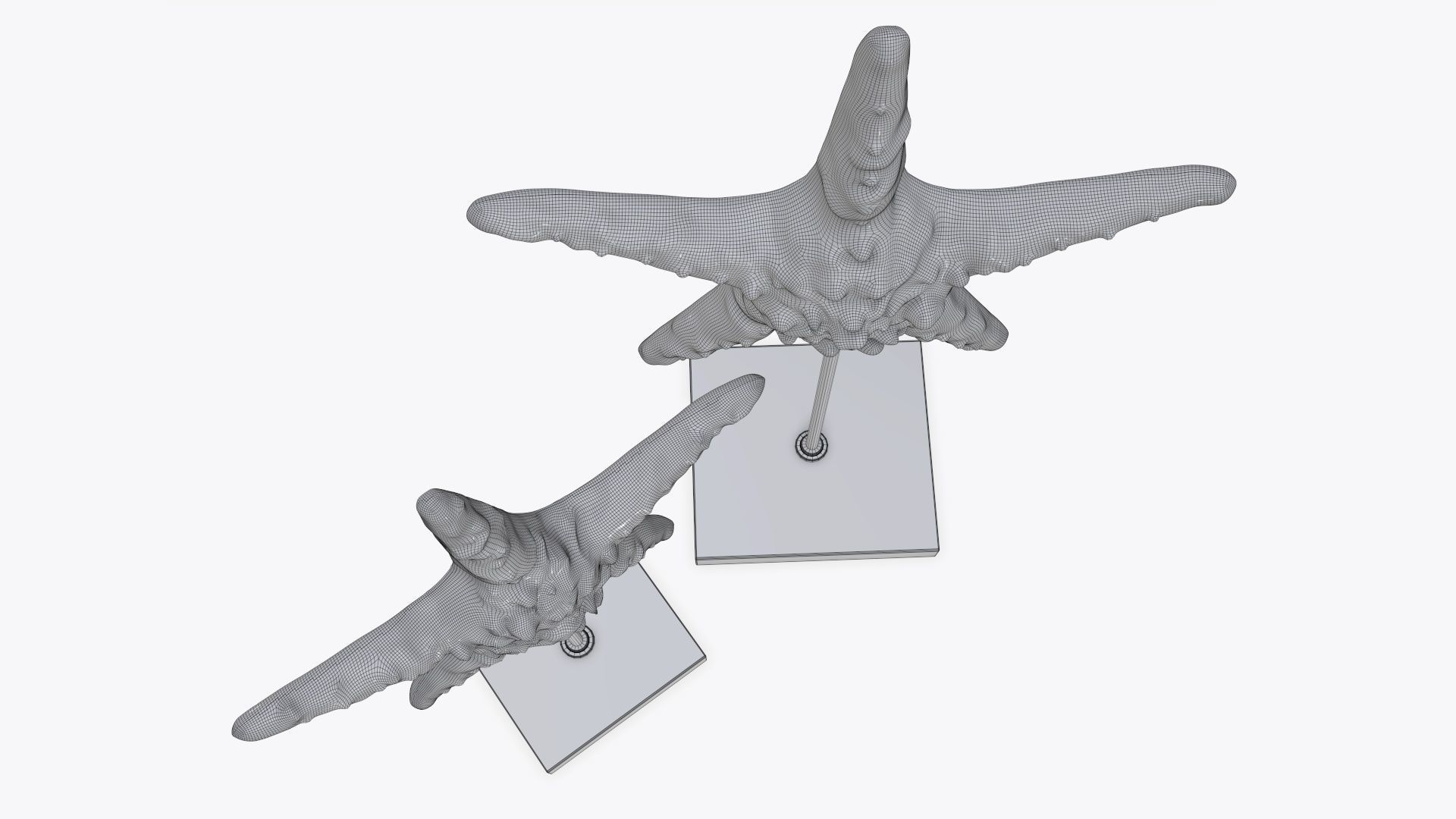 Sea star sculpture 3D model_9