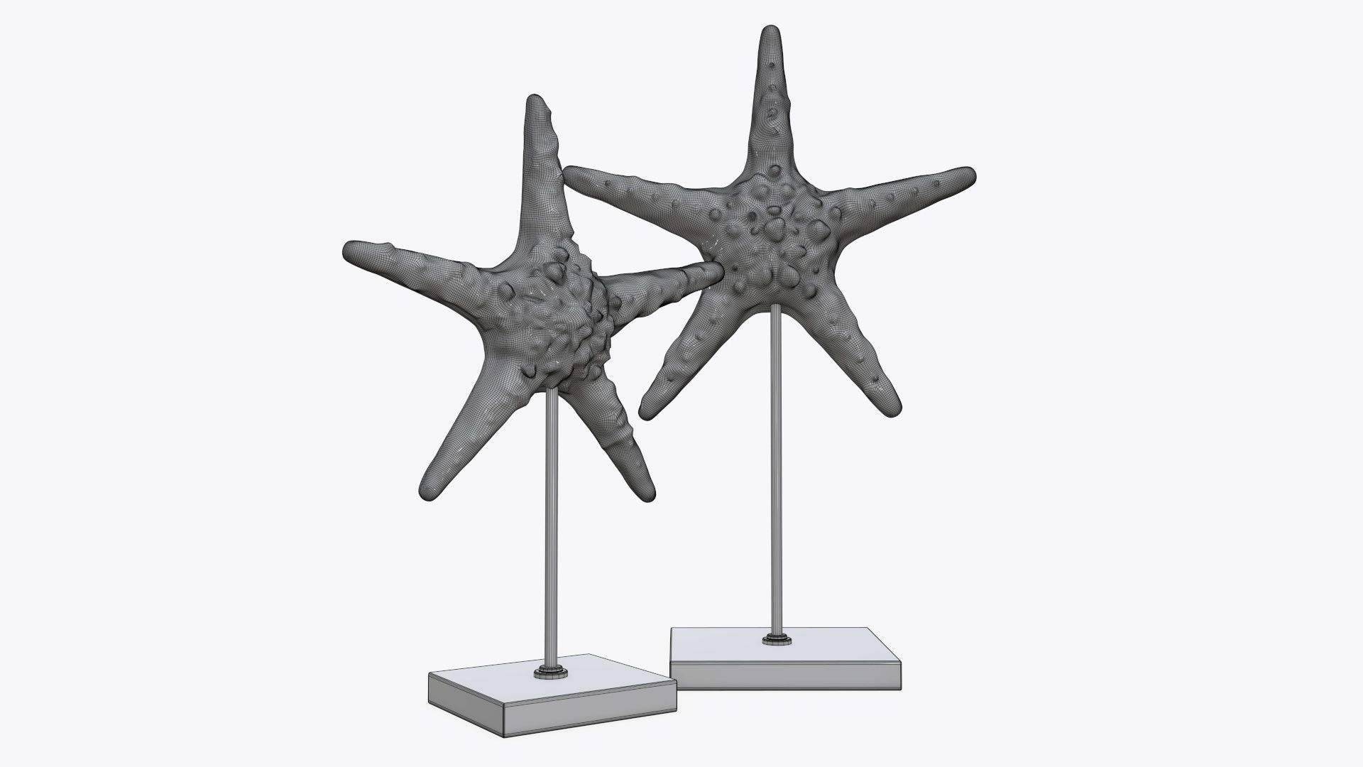 Sea star sculpture 3D model_5