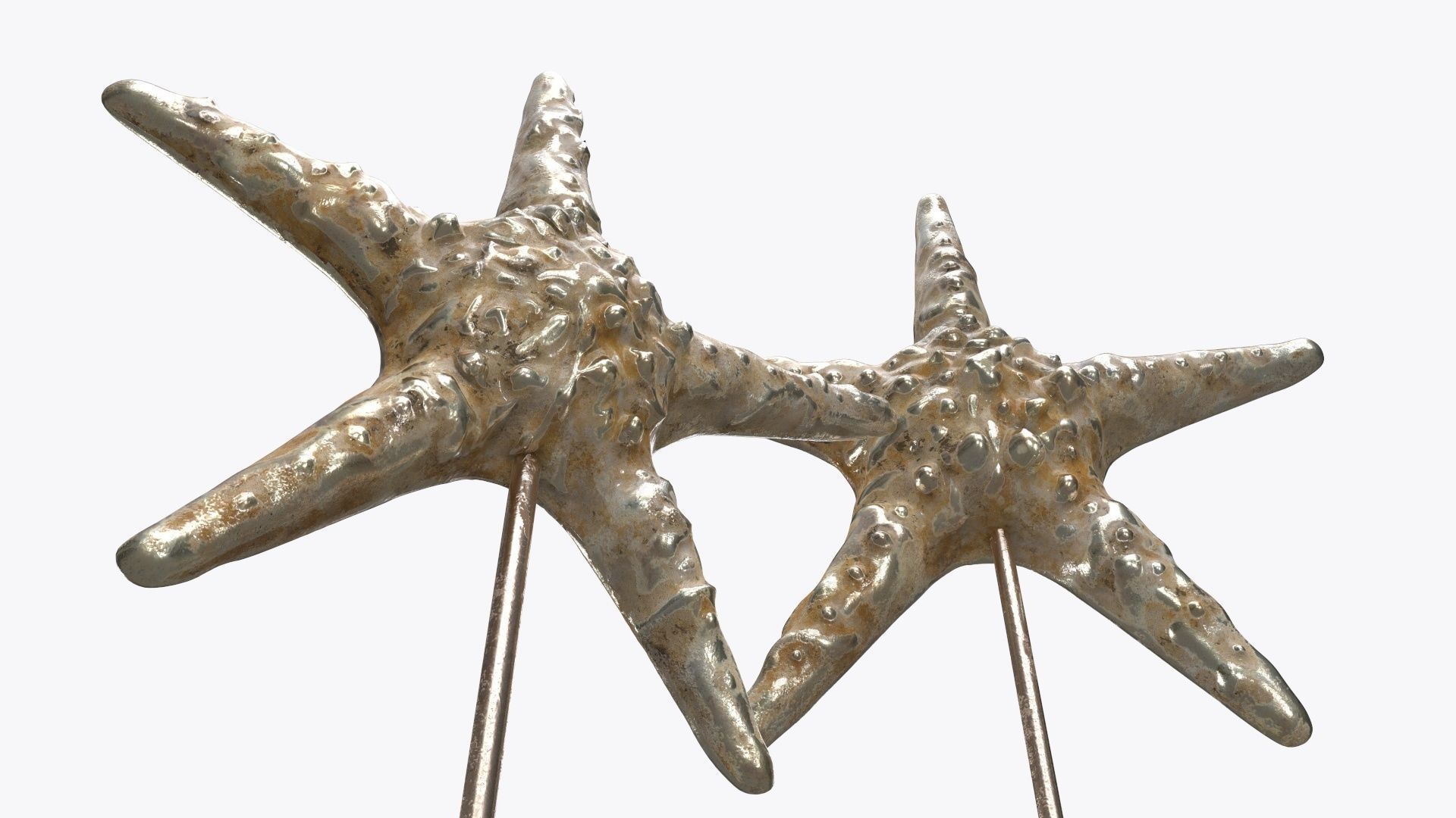 Sea star sculpture 3D model_3