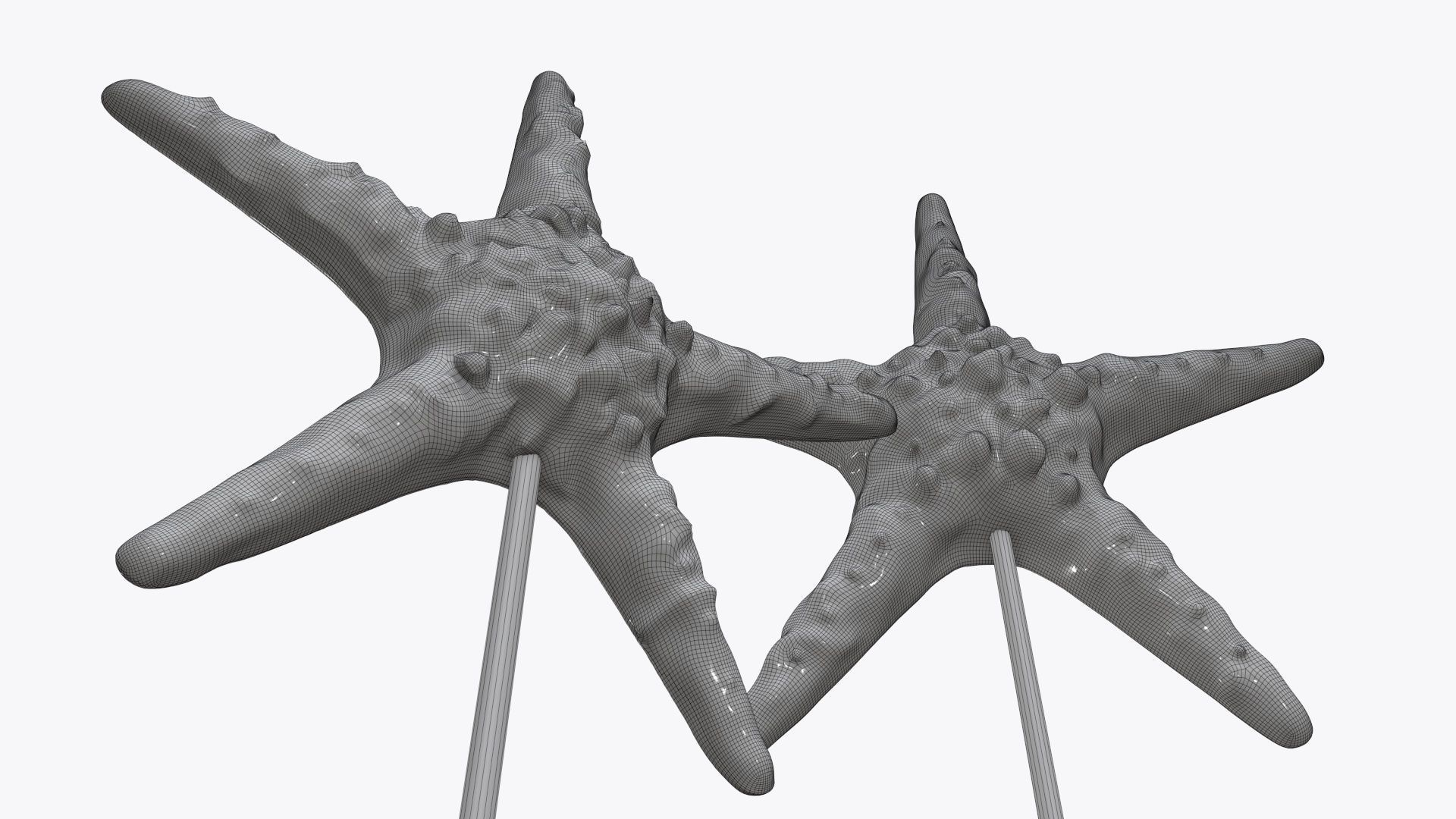 Sea star sculpture 3D model_8