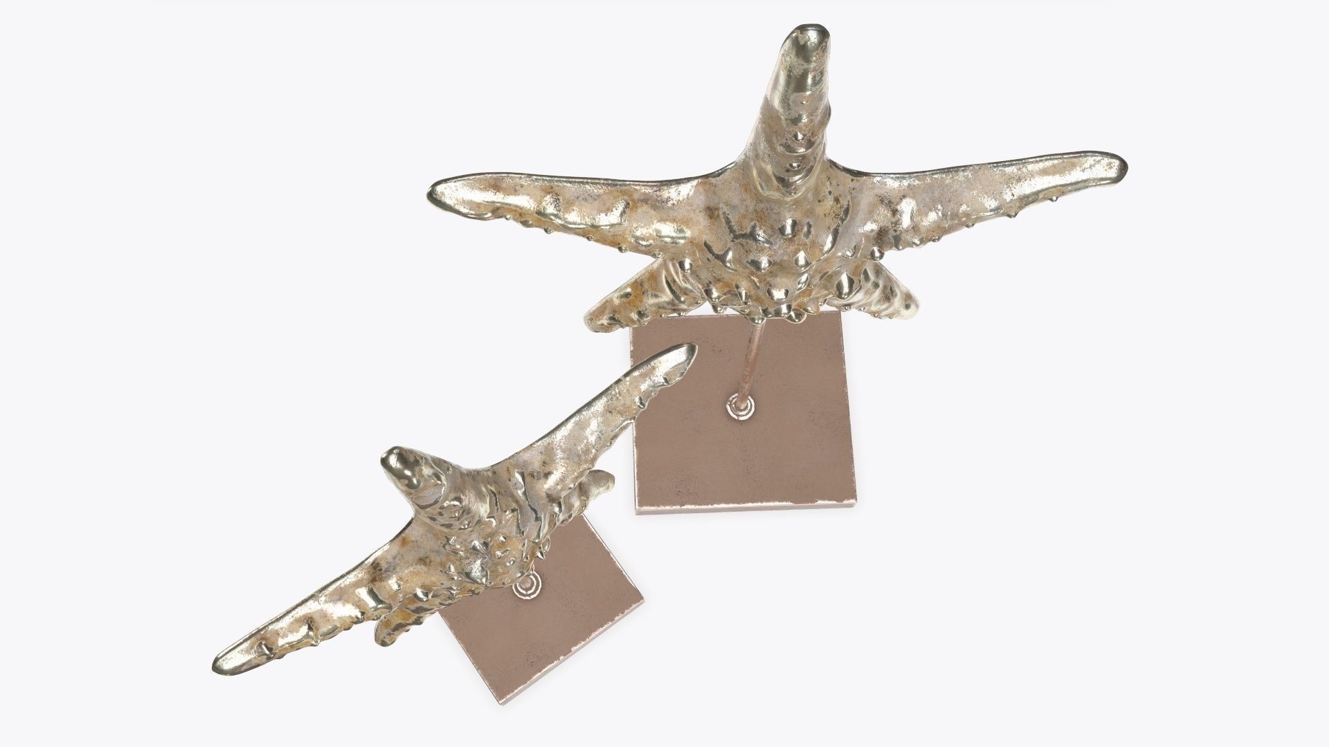 Sea star sculpture 3D model_4