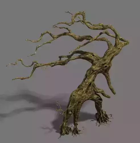 Strange - dead tree