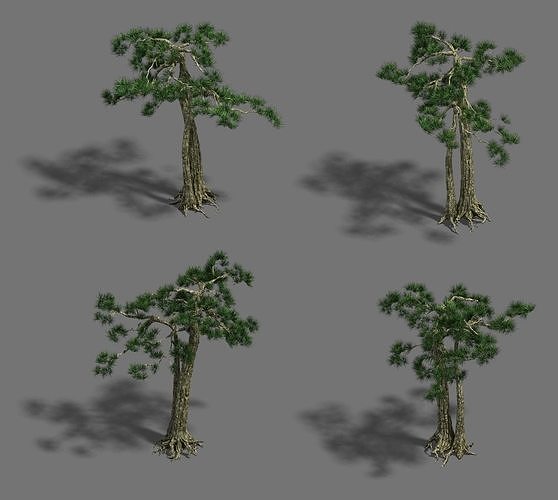 Strange - Pine 02 3D model