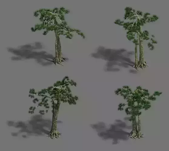 Strange - Pine 02 3D model