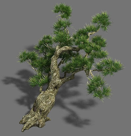 Strange - Pine 03 3D model