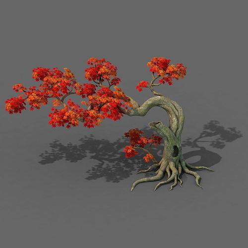 Forest - Maple Tree 11 3D model