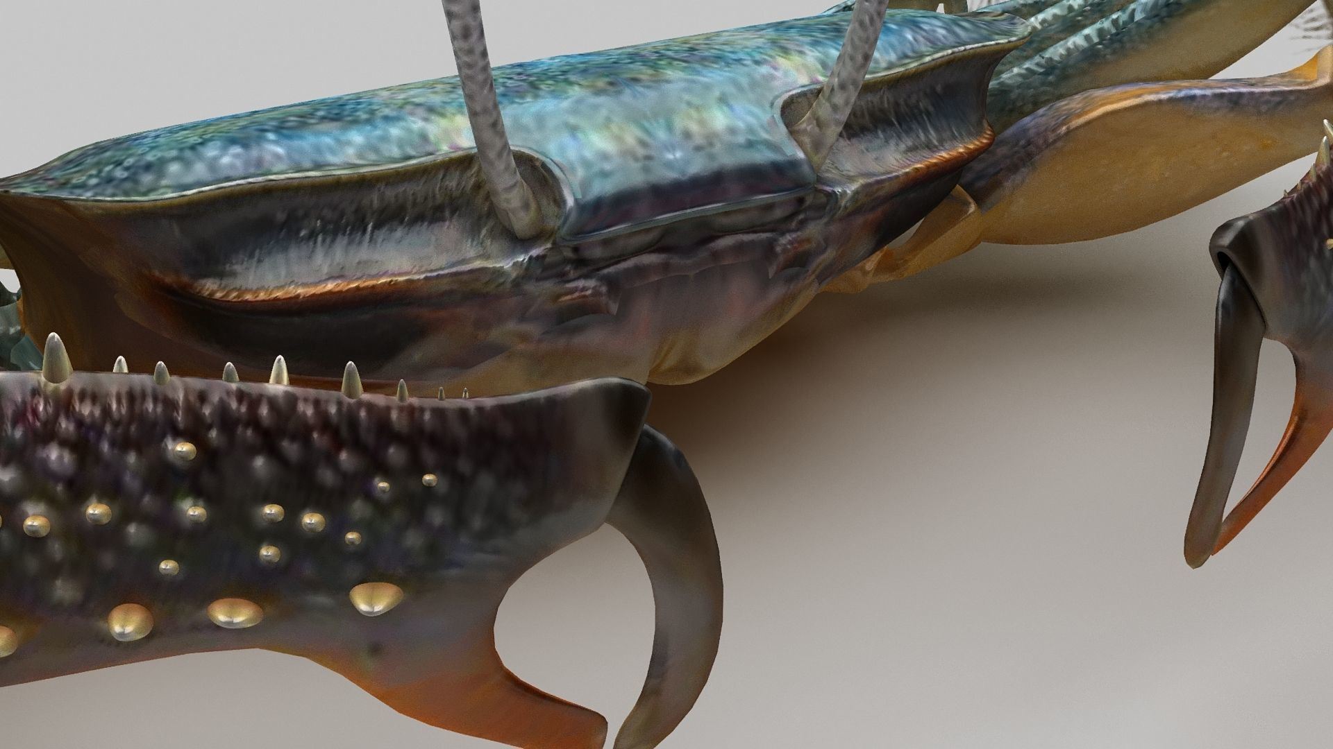 Short bodied crabs with big eyes Low-poly 3D model_7