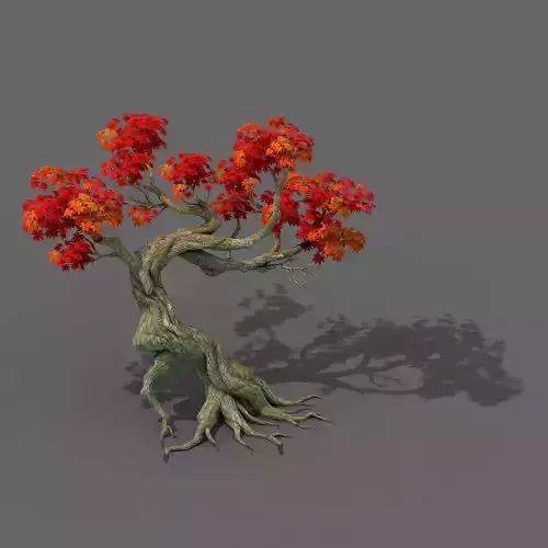 Forest - Maple Tree 12 3D model