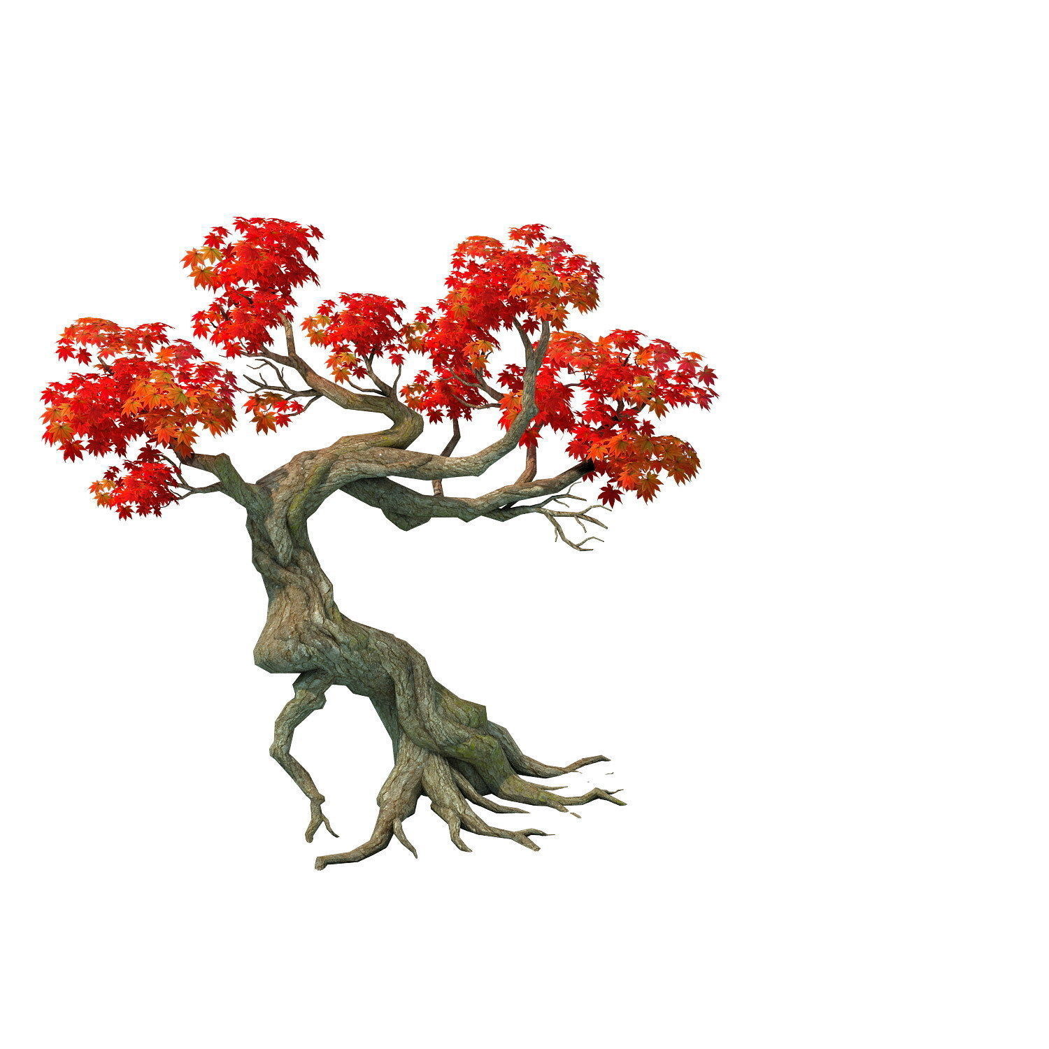 Forest - Maple Tree 12 3D model_3