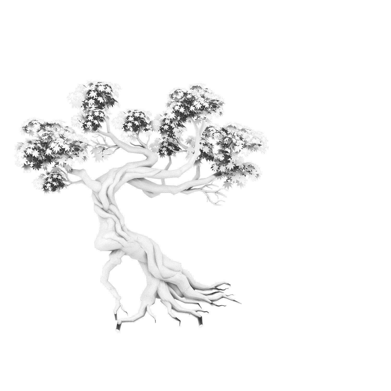 Forest - Maple Tree 12 3D model_4