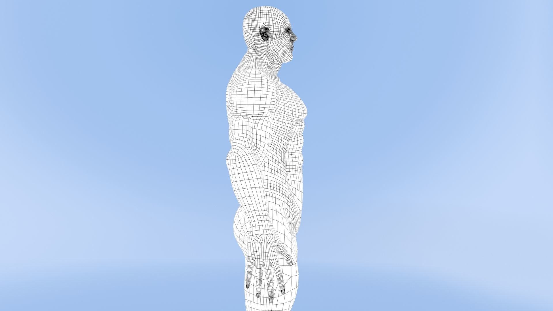 Male Base Mesh Low-poly 3D model_23
