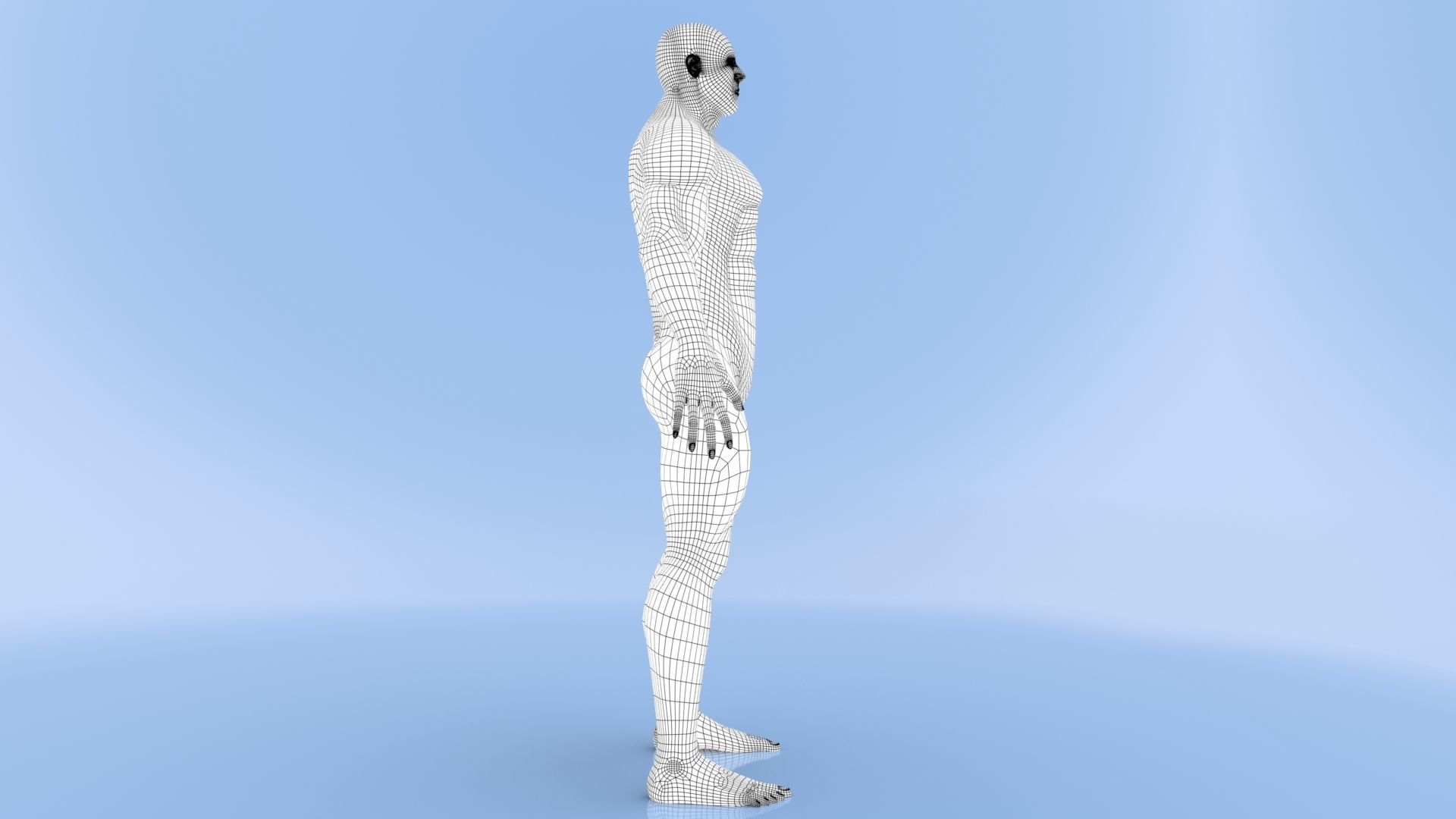 Male Base Mesh Low-poly 3D model_21