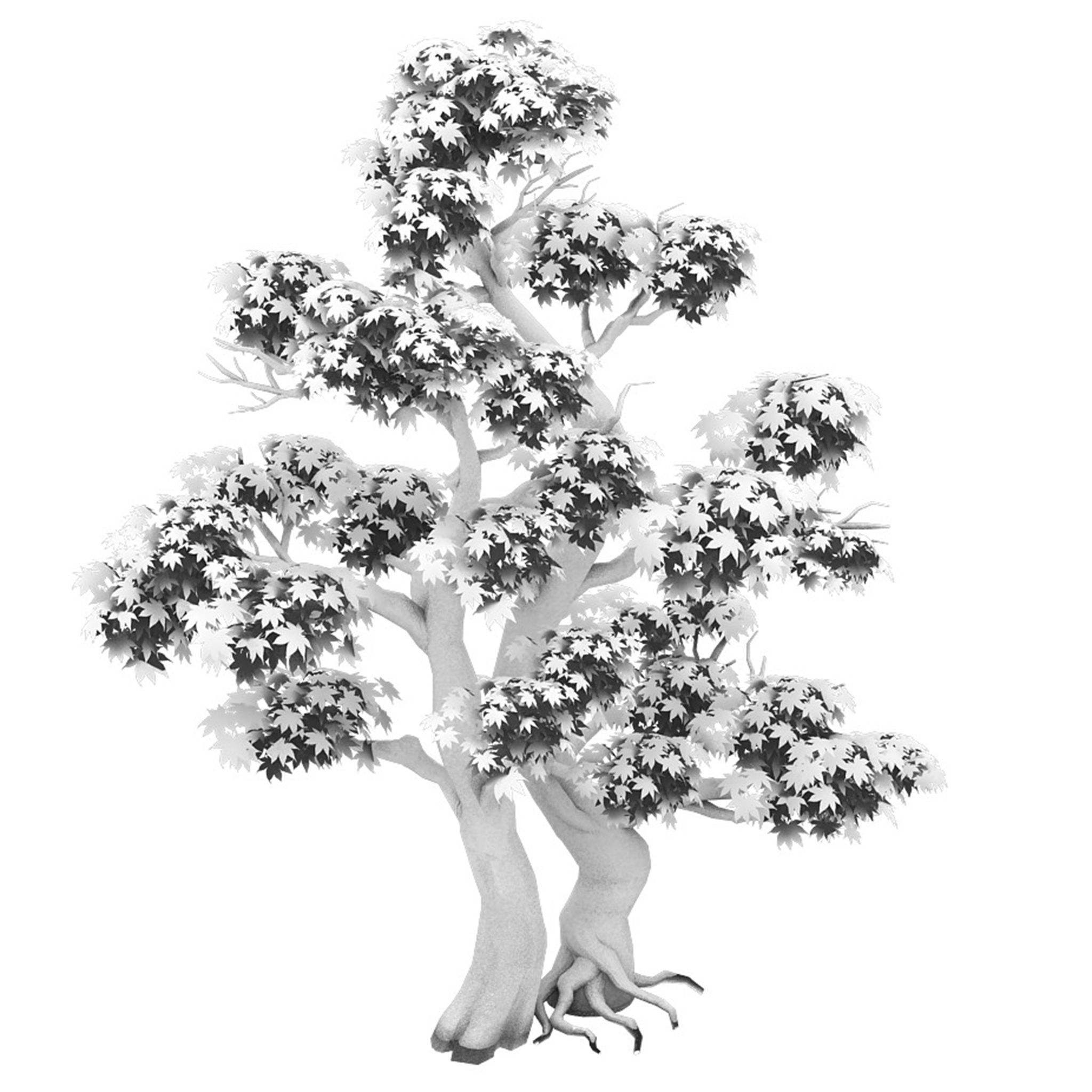 Forest - Maple Tree 14 3D model_2