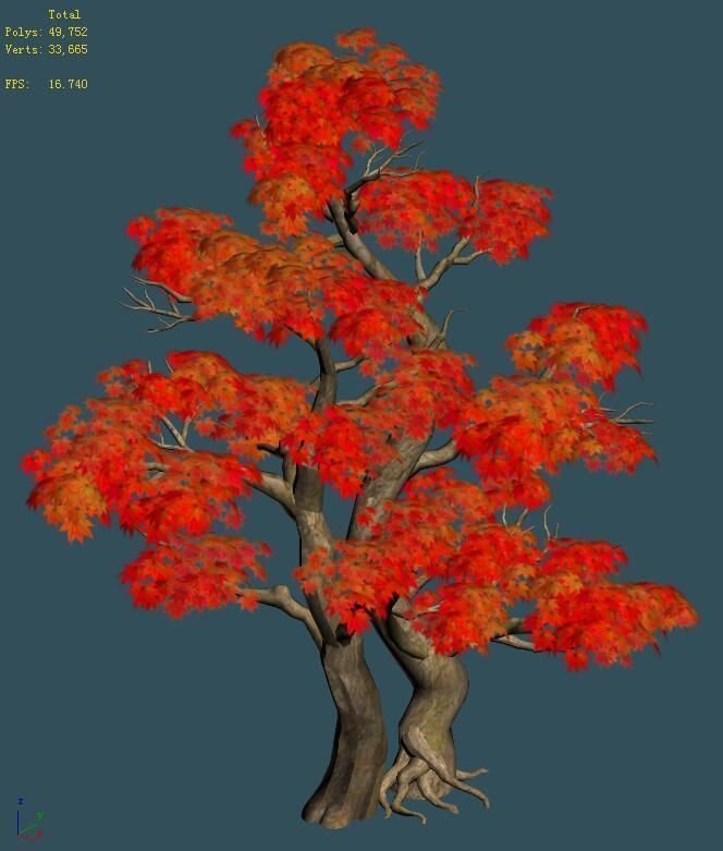 Forest - Maple Tree 14 3D model_5