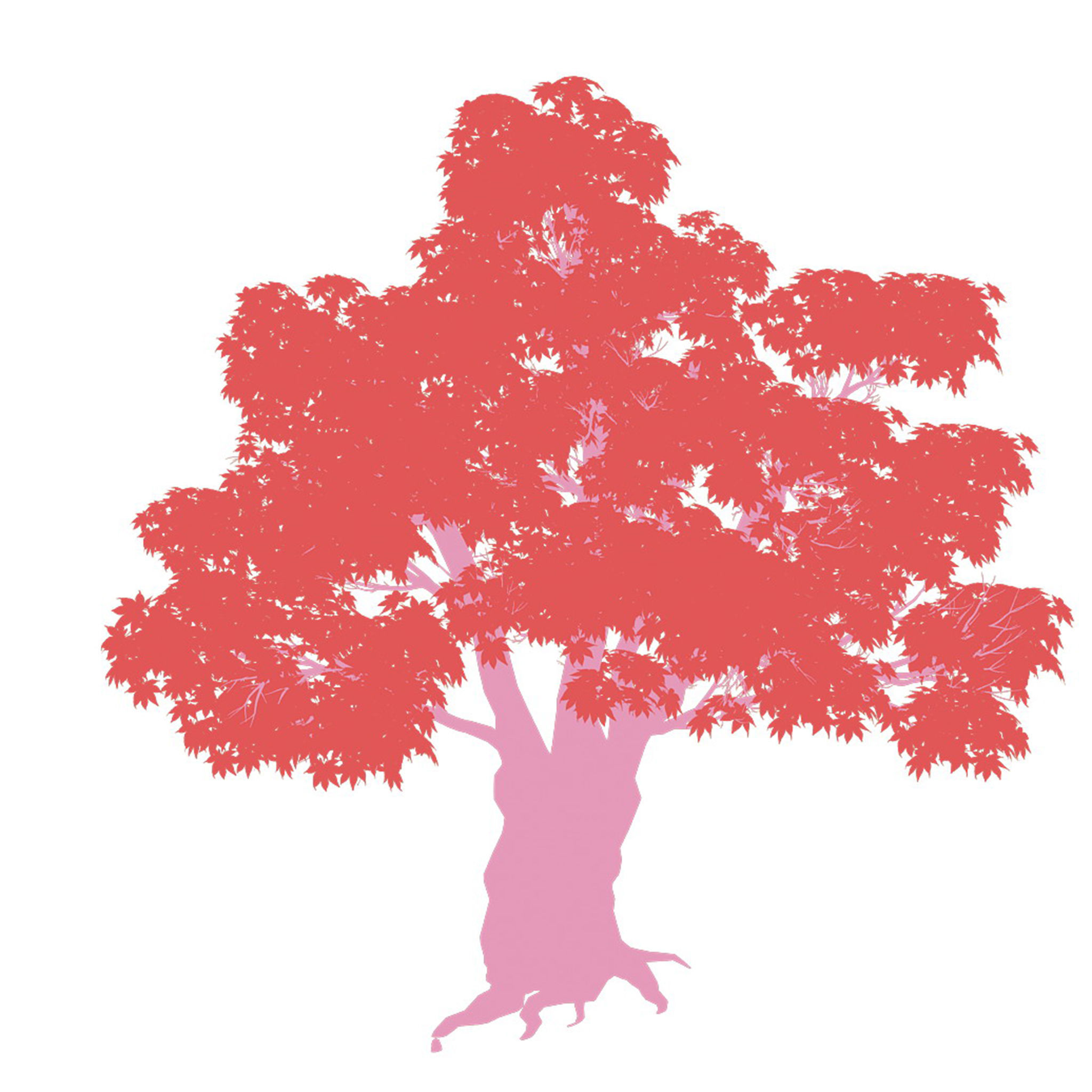 Forest - Maple Tree 15 3D model_4