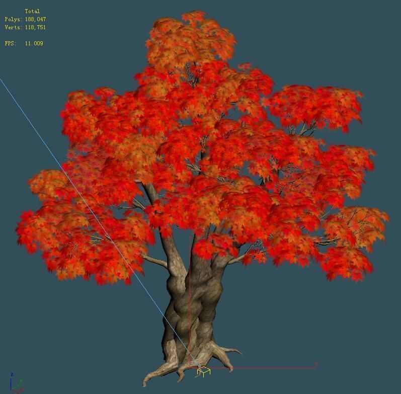 Forest - Maple Tree 15 3D model_5