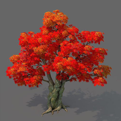 Forest - Maple Tree 15 3D model