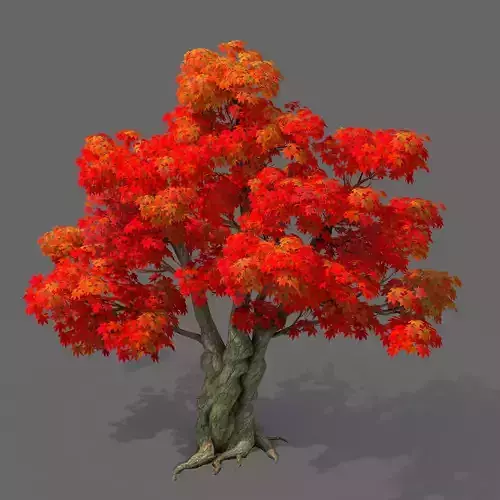 Forest - Maple Tree 15 3D model