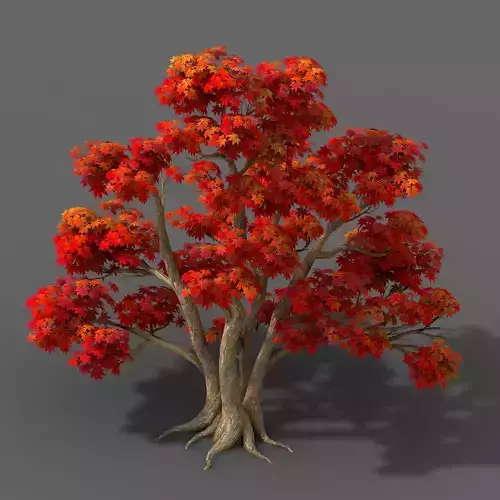 Forest - Maple Trees 16