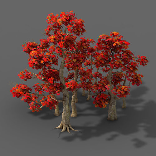 Forest - Maple Trees 17 3D model