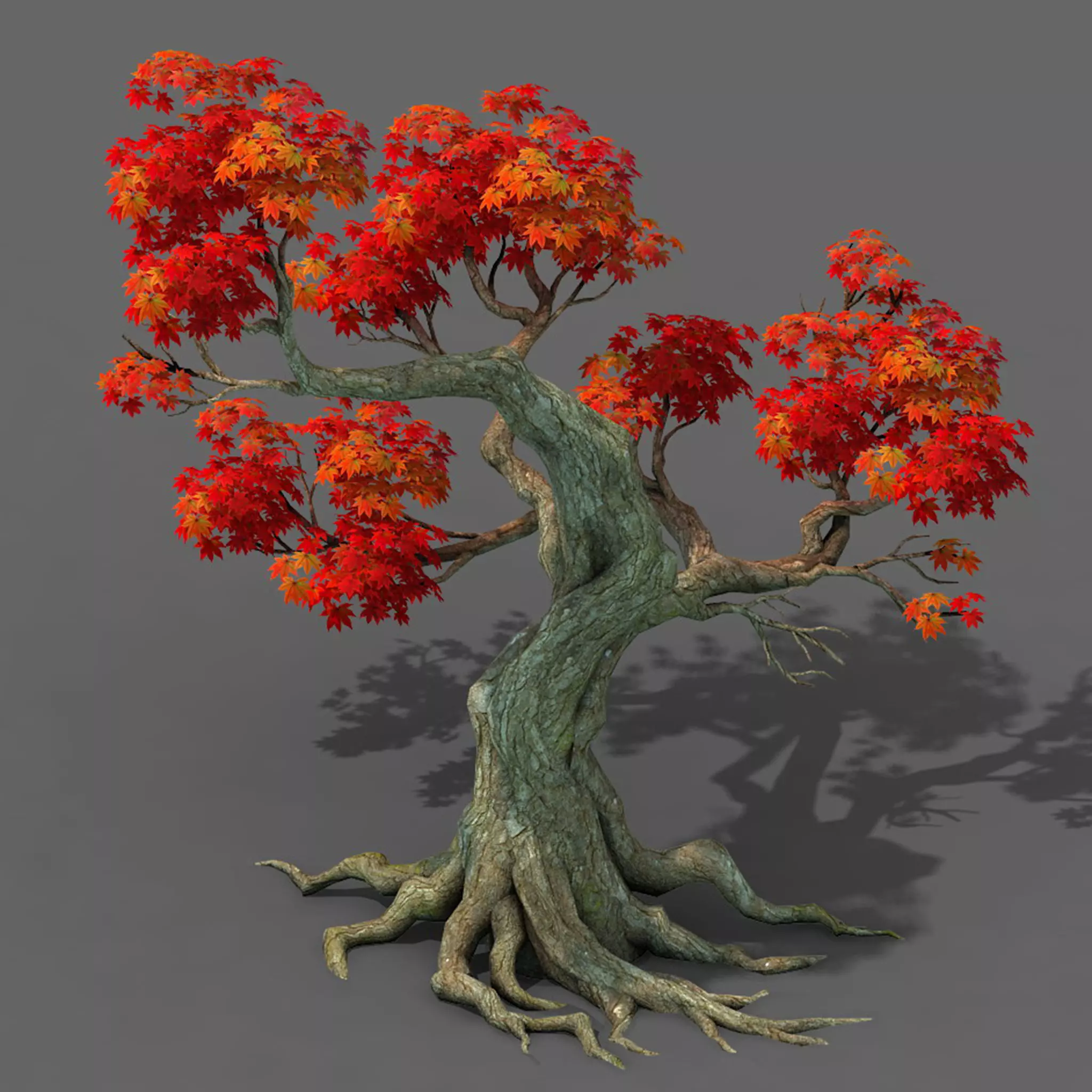 Forest - Maple Tree 18 3D model_0