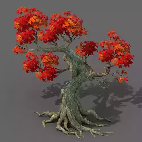 Forest - Maple Tree 18