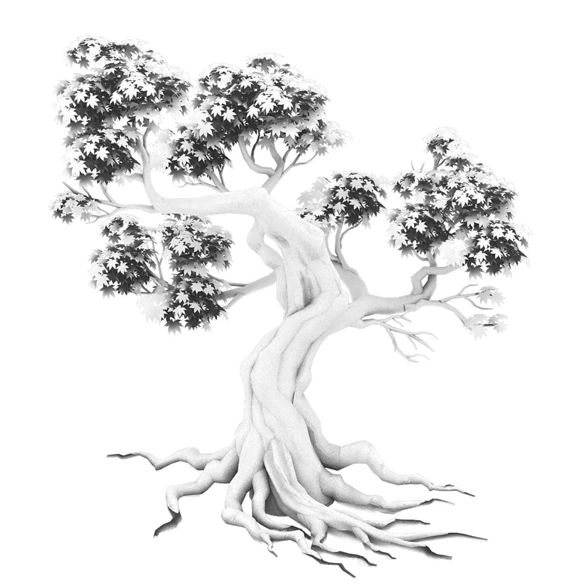 Forest - Maple Tree 18 3D model_2