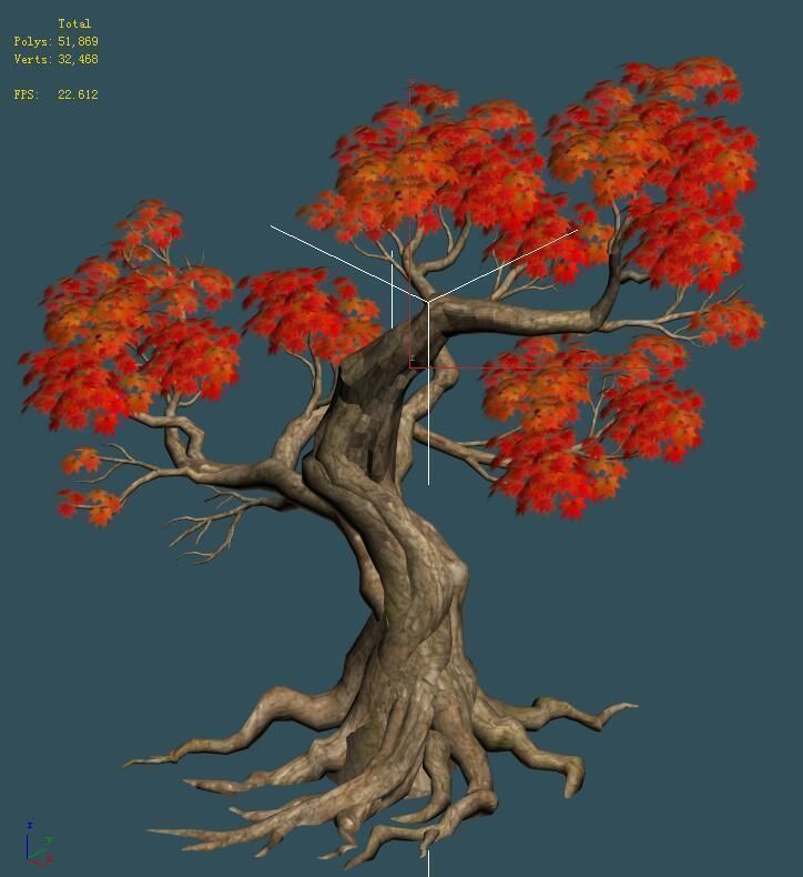 Forest - Maple Tree 18 3D model_5