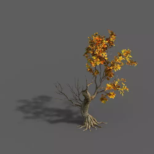 Forest - Trees 15 3D model_0
