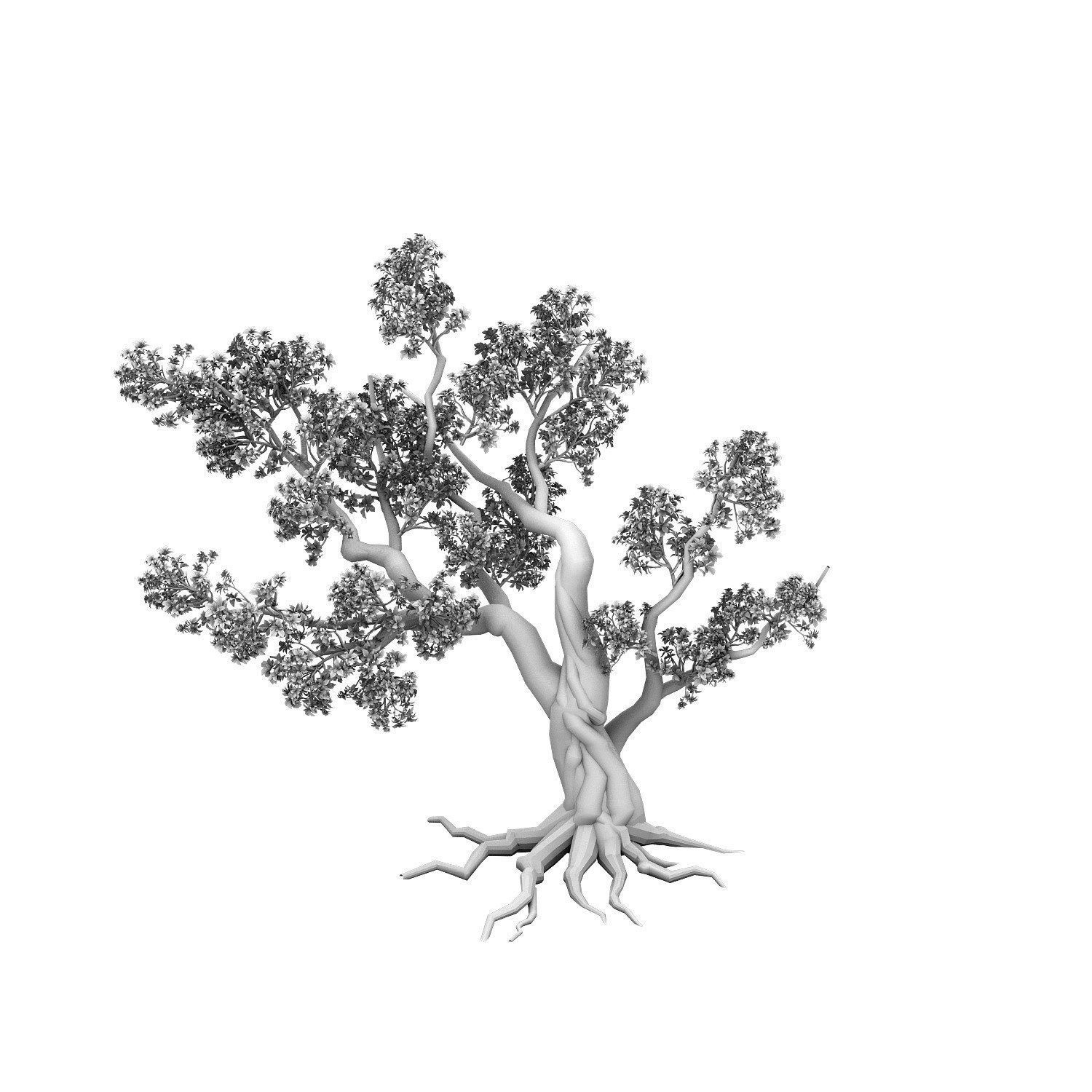 Forest - Peach Blossom Tree 02 3D model_3