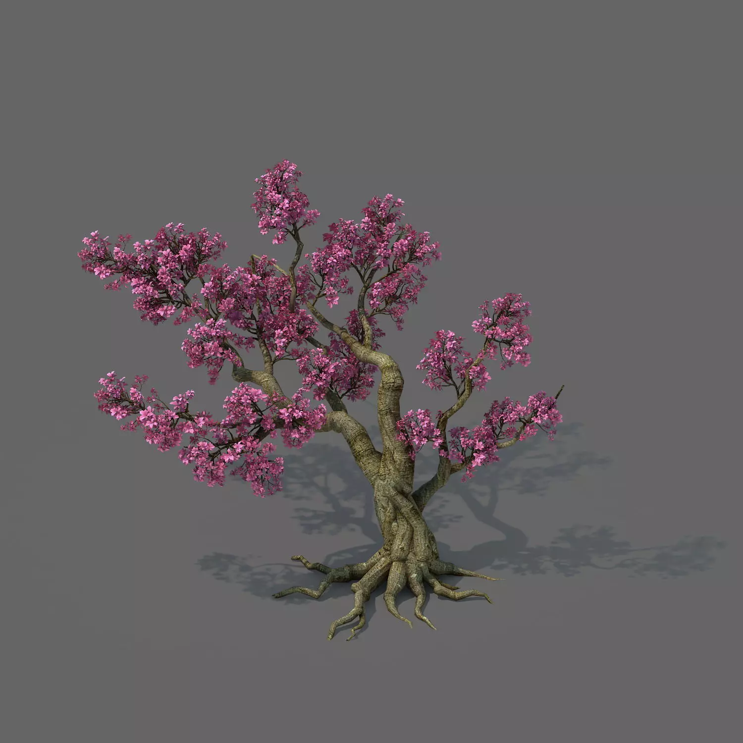 Forest - Peach Blossom Tree 02 3D model_0