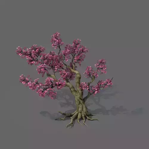 Forest - Peach Blossom Tree 02