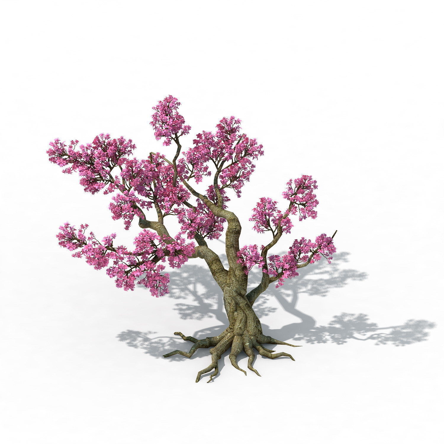 Forest - Peach Blossom Tree 02 3D model_2
