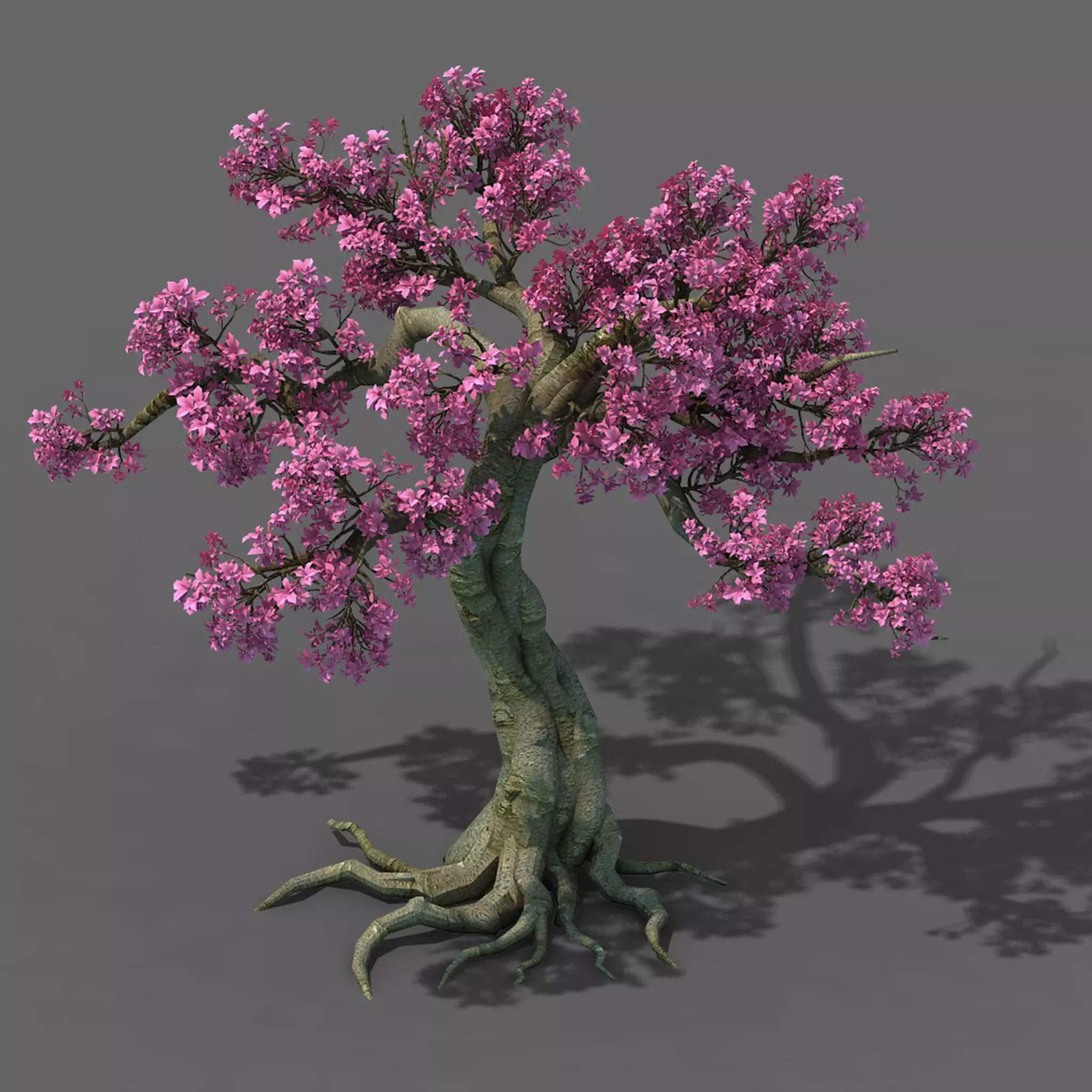 Forest - Peach Blossom Tree 04 3D model_0