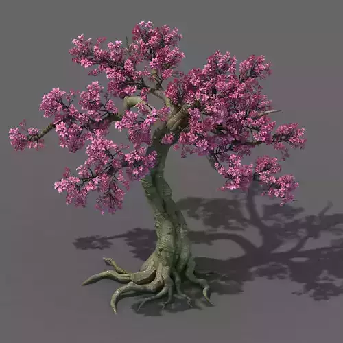 Forest - Peach Blossom Tree 04 3D model