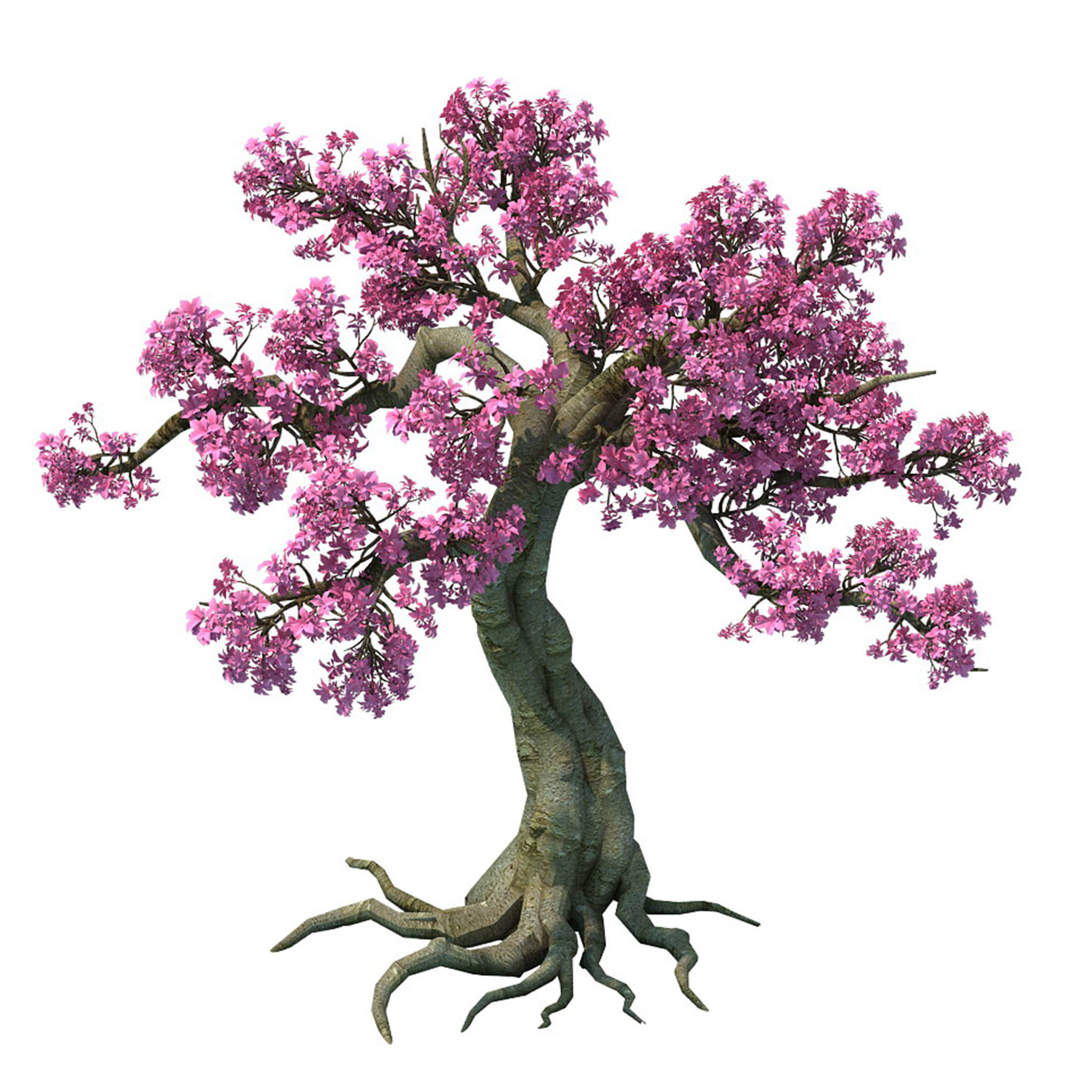 Forest - Peach Blossom Tree 04 3D model_1