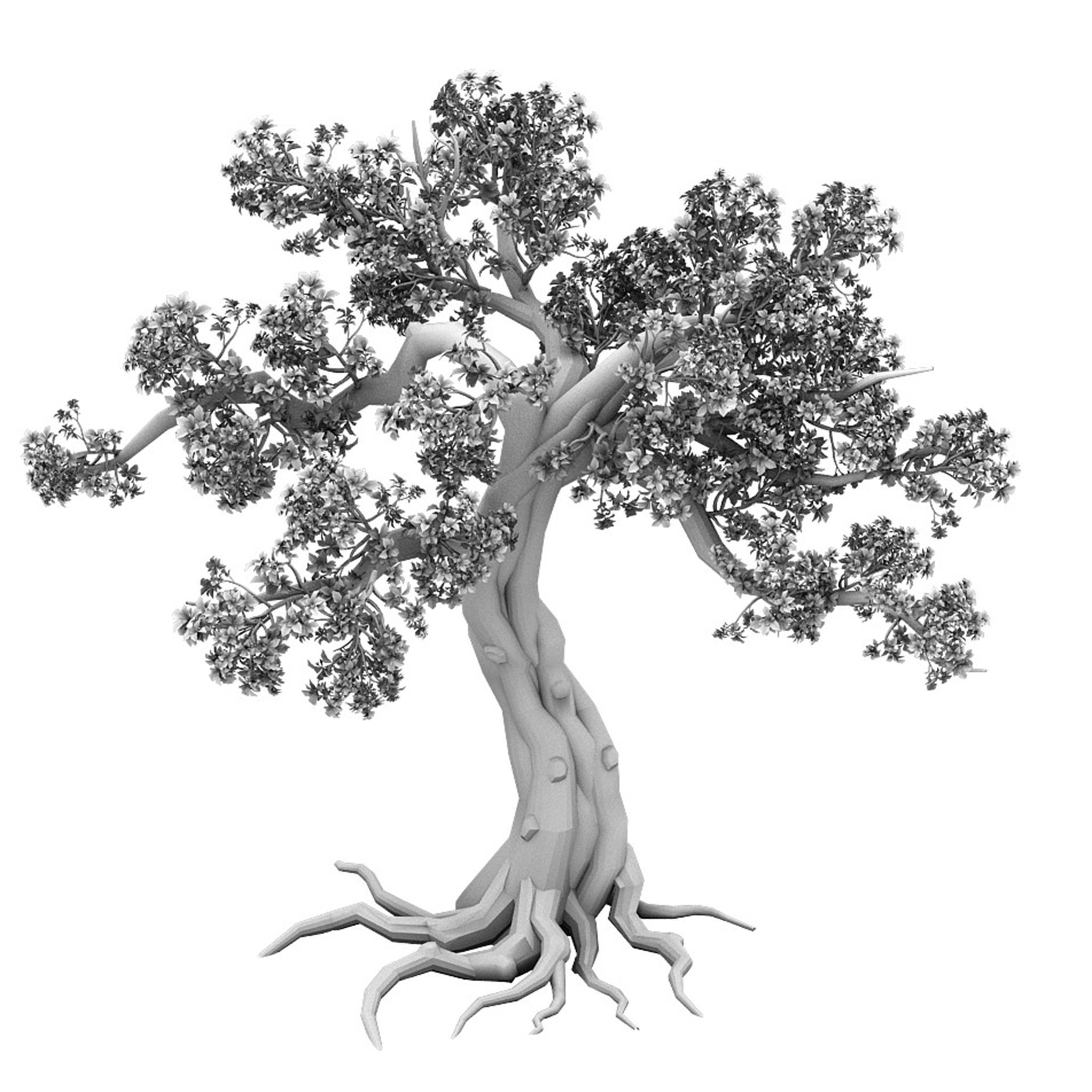 Forest - Peach Blossom Tree 04 3D model_3