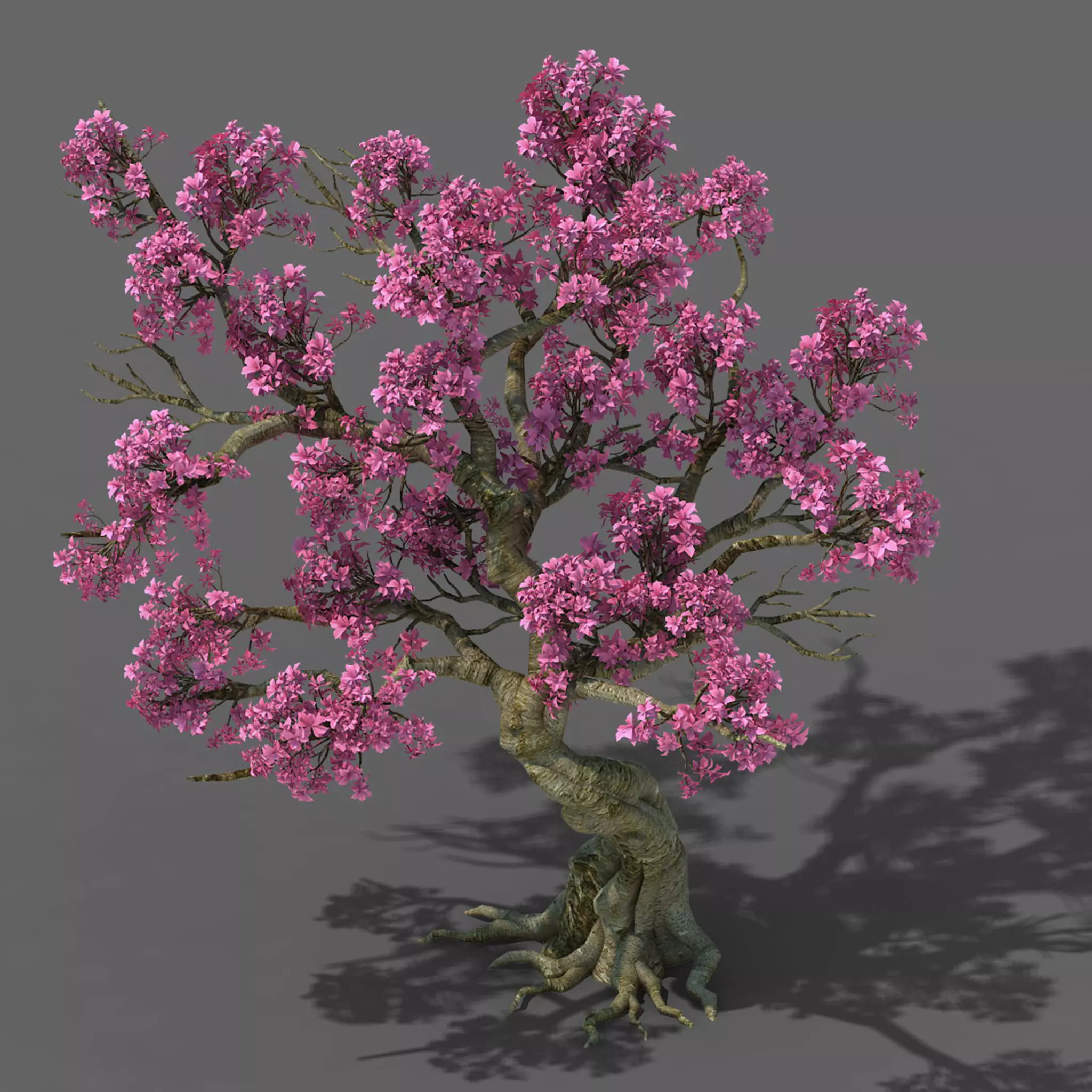 Forest - Peach Tree 05 3D model