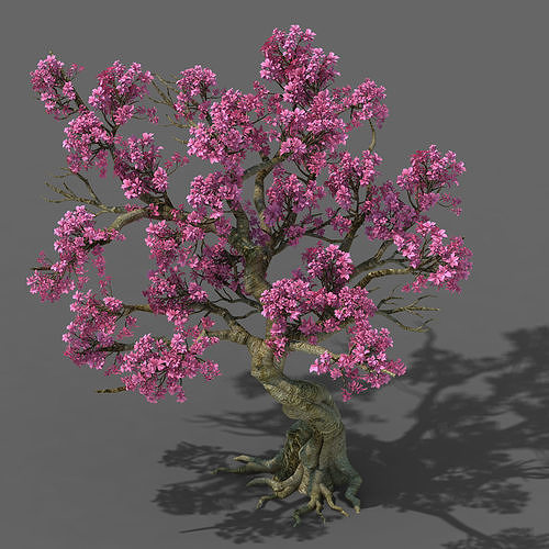 Forest - Peach Tree 05 3D model