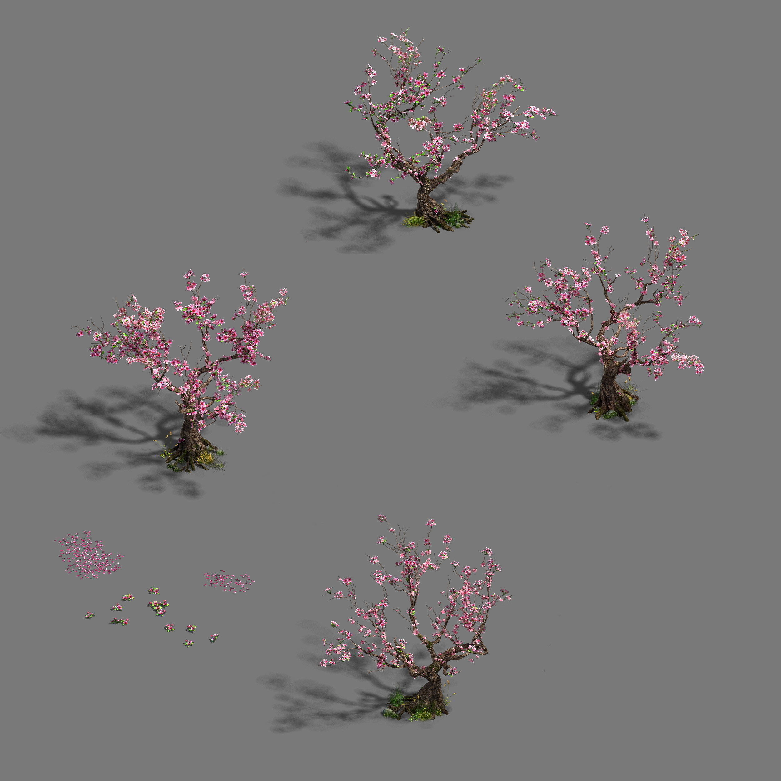 Forest - Peach Blossom Tree 21 3D model_4