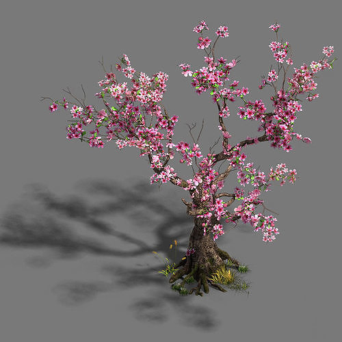 Forest - Peach Blossom Tree 21 3D model