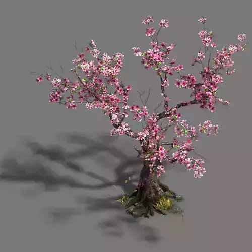Forest - Peach Blossom Tree 21